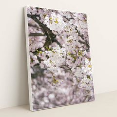 Delicate Cherry Blossoms in Spring by Ekam Juneja - White Frame Stretchiez