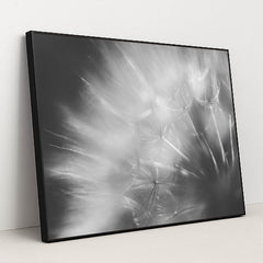 Dandelion Dreams in Black and White by 정규송 Nui MALAMA - Black Frame Stretchiez