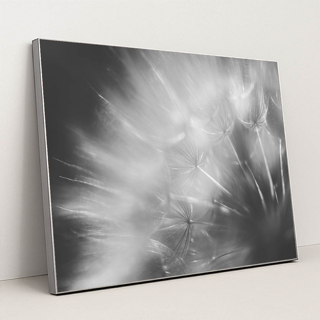 Dandelion Dreams in Black and White by 정규송 Nui MALAMA - Silver Frame Stretchiez
