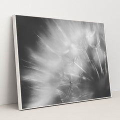 Dandelion Dreams in Black and White by 정규송 Nui MALAMA - White Frame Stretchiez