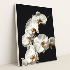 Blooming White Orchids Close-Up by Jan Kopřiva - White Frame Stretchiez