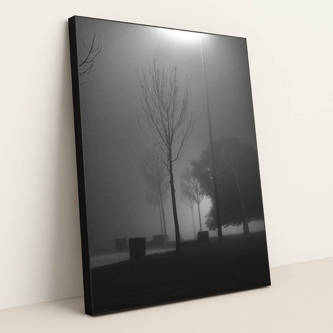 Misty Night in the Park by Yusuf Timur Çelik - Black Frame Stretchiez