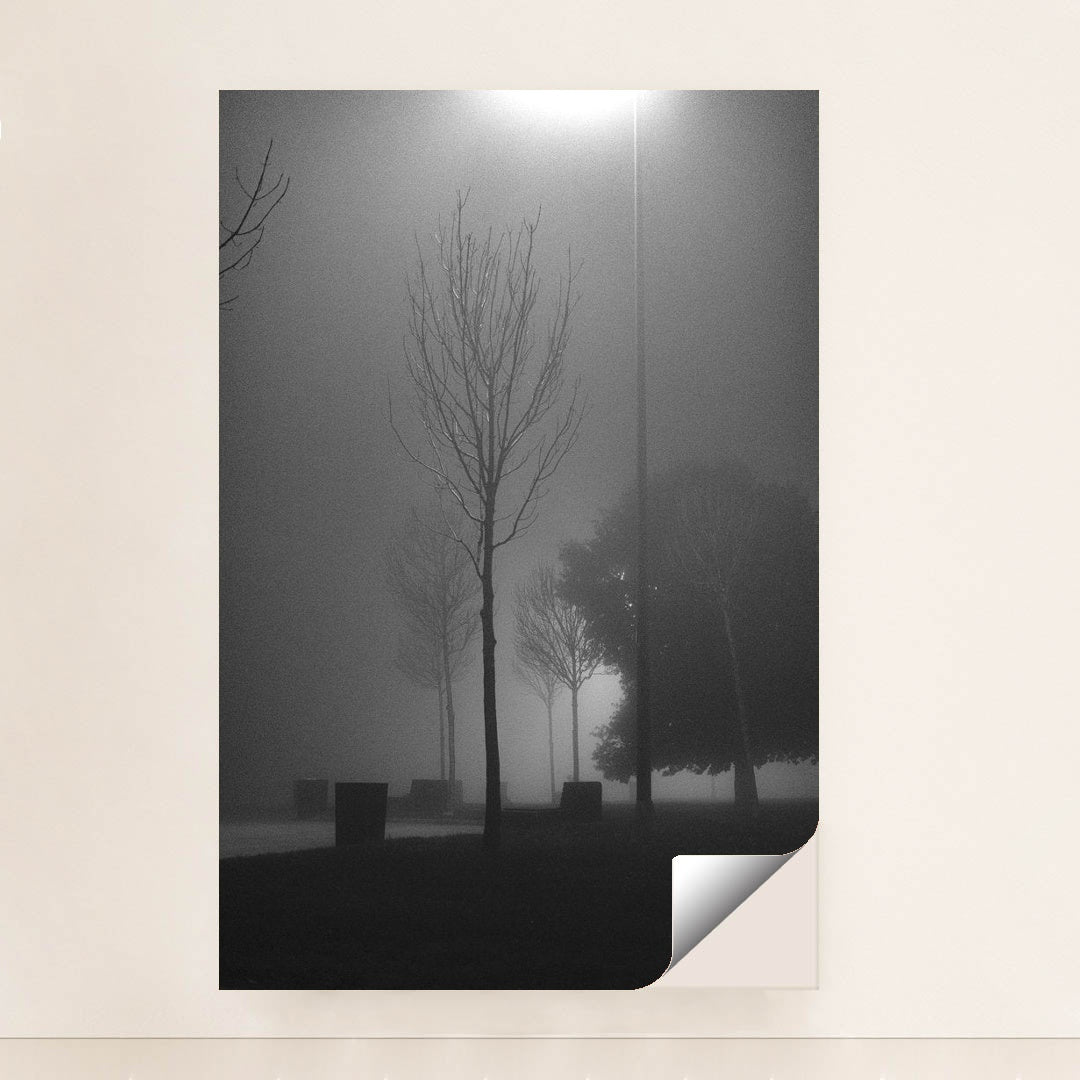 Misty Night in the Park by Yusuf Timur Çelik - Peeliez