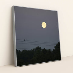 Moonlit Night in Minnesota by Tom Fisk - Silver Frame Stretchiez