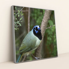 Vibrant Green Jay in Natural Setting by Yufan Jiang - Silver Frame Stretchiez
