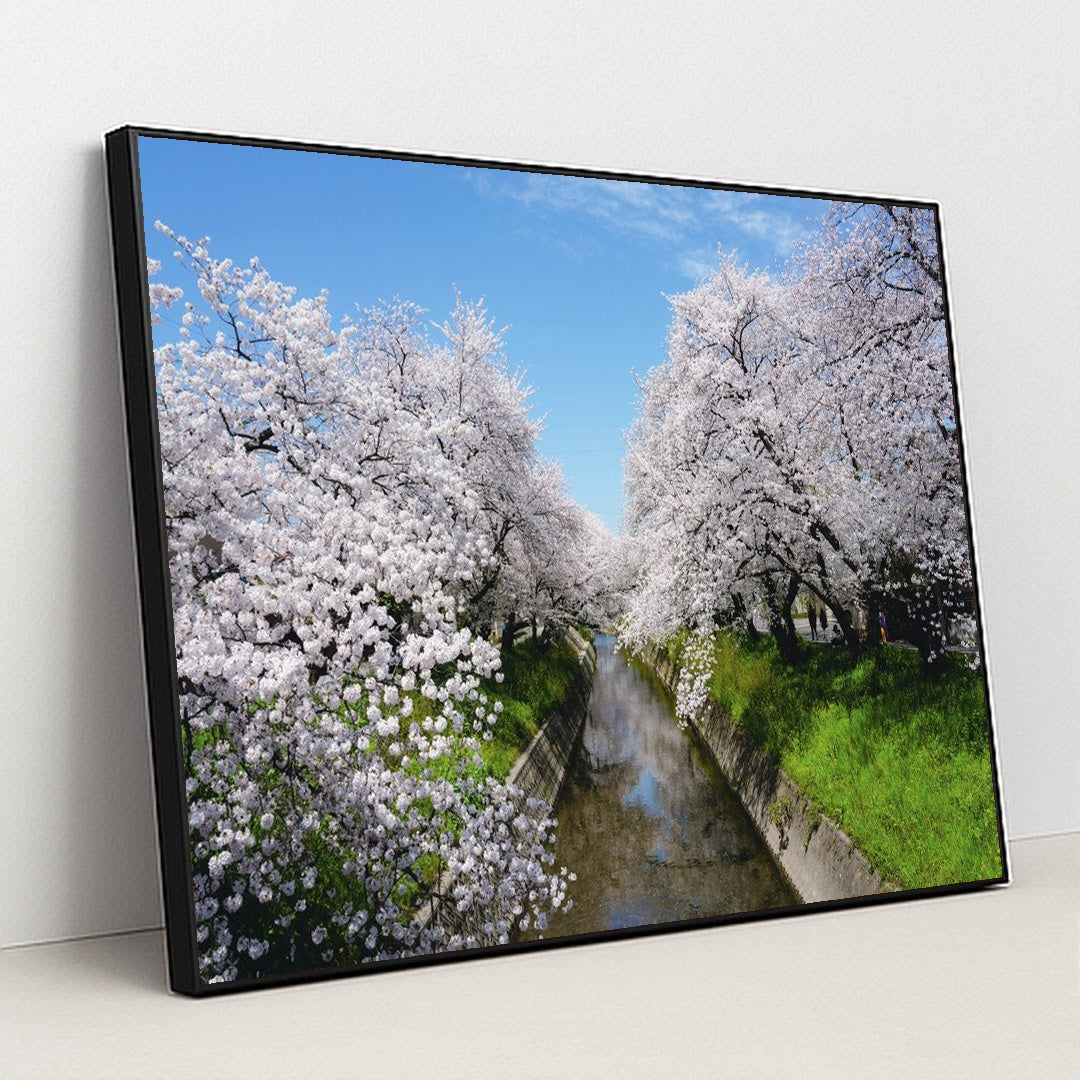Cherry Blossoms by the Stream by Dũng Eric - Black Frame Stretchiez