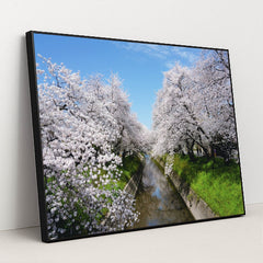 Cherry Blossoms by the Stream by Dũng Eric - Black Frame Stretchiez