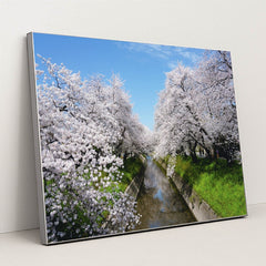 Cherry Blossoms by the Stream by Dũng Eric - Silver Frame Stretchiez