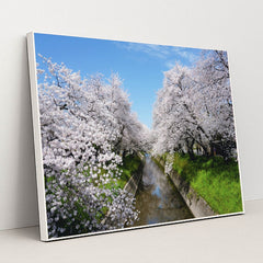 Cherry Blossoms by the Stream by Dũng Eric - White Frame Stretchiez