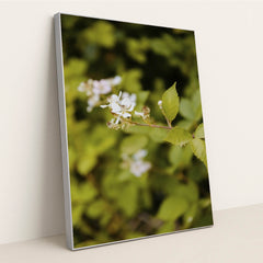Delicate White Flowers in Spring by Kathrine Birch - Silver Frame Stretchiez