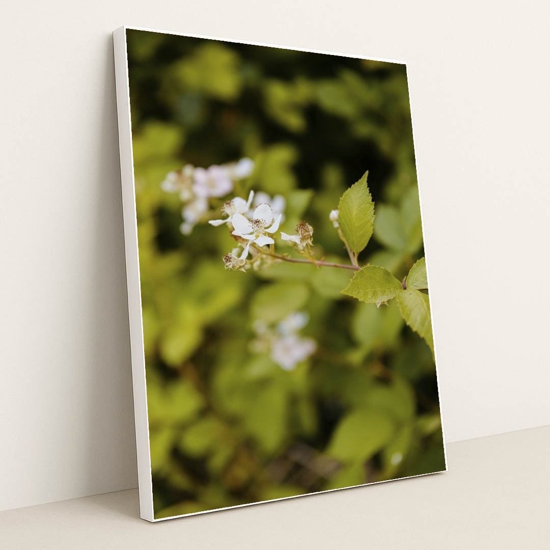 Delicate White Flowers in Spring by Kathrine Birch - White Frame Stretchiez