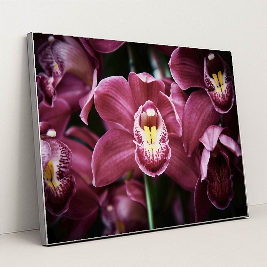 Enchanting Pink Cymbidium Orchids by Suki Lee - Silver Frame Stretchiez