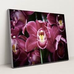 Enchanting Pink Cymbidium Orchids by Suki Lee - Silver Frame Stretchiez