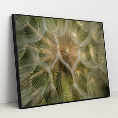 Intricate Dandelion Seed Close-Up by Dave Love - Black Frame Stretchiez