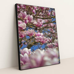 Blossoming Pink Magnolias in Spring by Sergio Zhukov - Black Frame Stretchiez