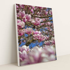 Blossoming Pink Magnolias in Spring by Sergio Zhukov - White Frame Stretchiez