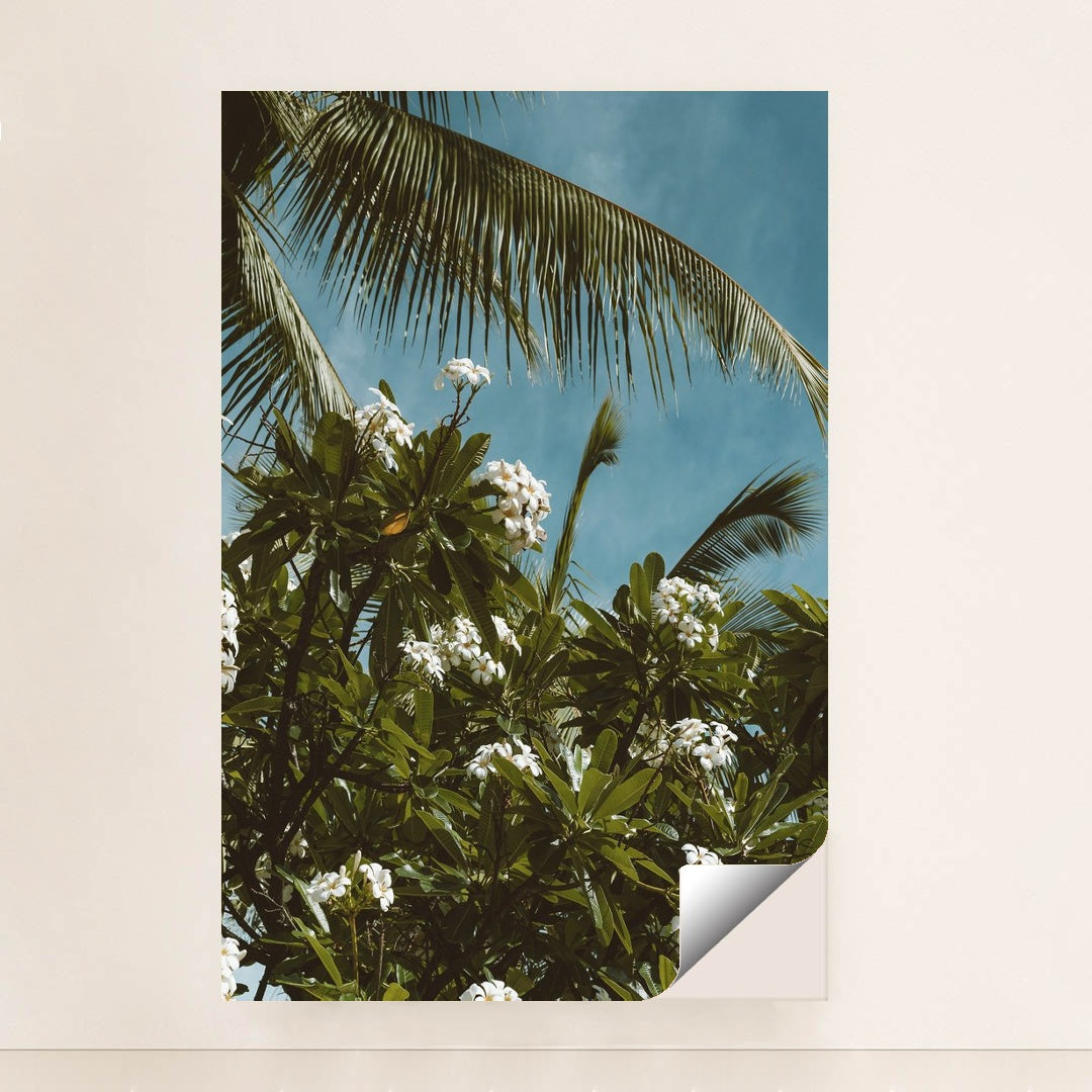 Tropical Plumeria and Palm View by Jess Loiterton - Peeliez