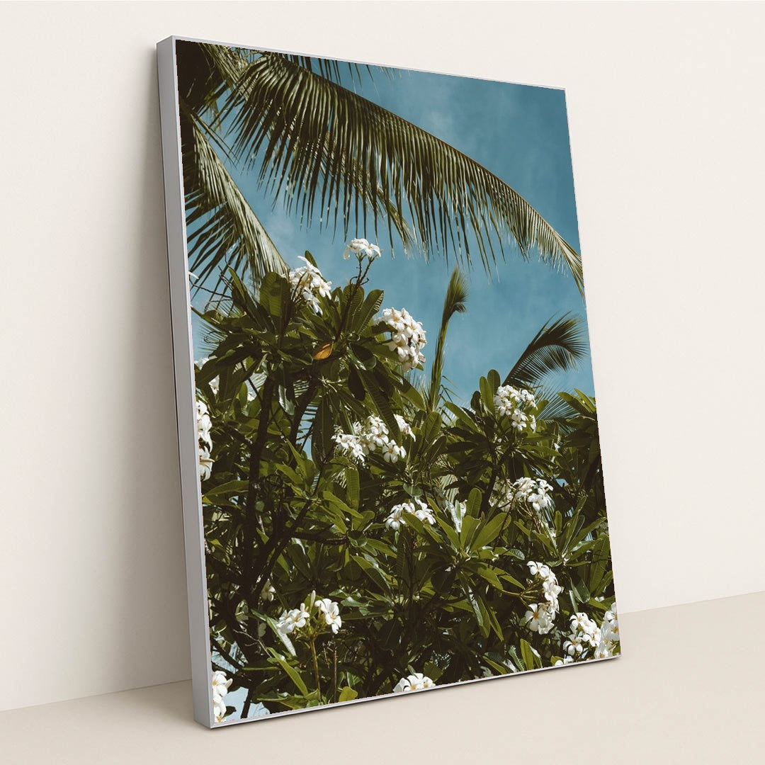 Tropical Plumeria and Palm View by Jess Loiterton - Silver Frame Stretchiez