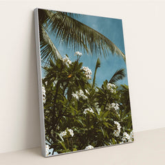 Tropical Plumeria and Palm View by Jess Loiterton - Silver Frame Stretchiez