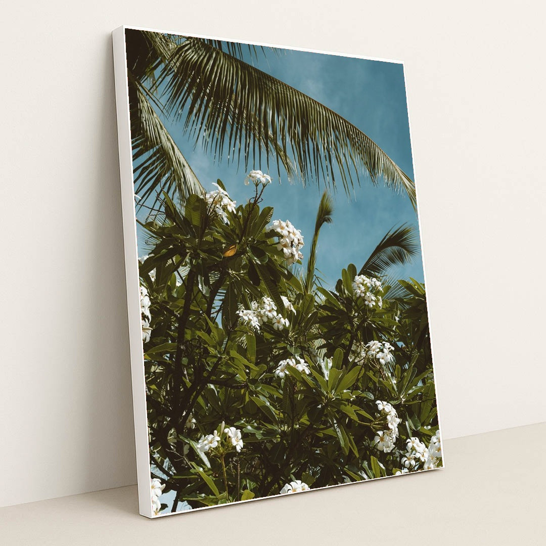 Tropical Plumeria and Palm View by Jess Loiterton - White Frame Stretchiez