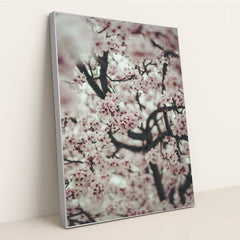 Spring Blossom Close-Up by Tim Mossholder - Silver Frame Stretchiez