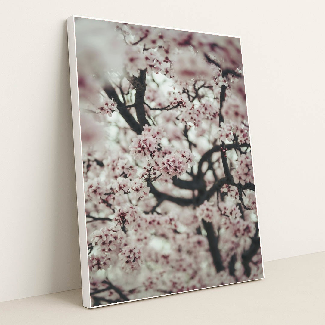 Spring Blossom Close-Up by Tim Mossholder - White Frame Stretchiez