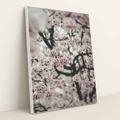 Spring Blossom Close-Up by Tim Mossholder - White Frame Stretchiez