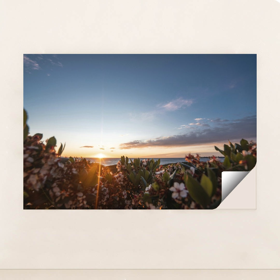 Sunset Over Seaside Blossoms by Ben Mack - Peeliez