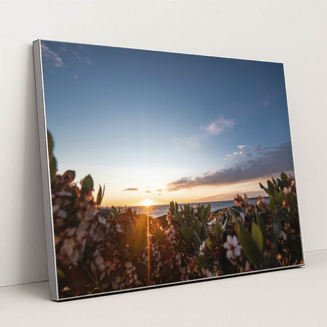 Sunset Over Seaside Blossoms by Ben Mack - Silver Frame Stretchiez