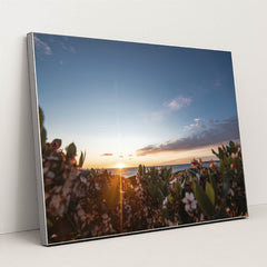 Sunset Over Seaside Blossoms by Ben Mack - Silver Frame Stretchiez