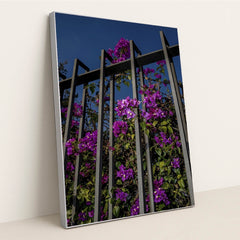 Vibrant Bougainvillea Flowers on Metal Fence by Victor Moragriega - Silver Frame Stretchiez