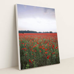 Vibrant Red Poppy Field at Dusk by Valeria Boltneva - White Frame Stretchiez