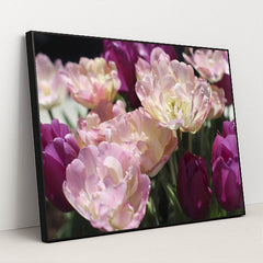 Vibrant Spring Tulips in Bloom by Amelia Cui - Black Frame Stretchiez