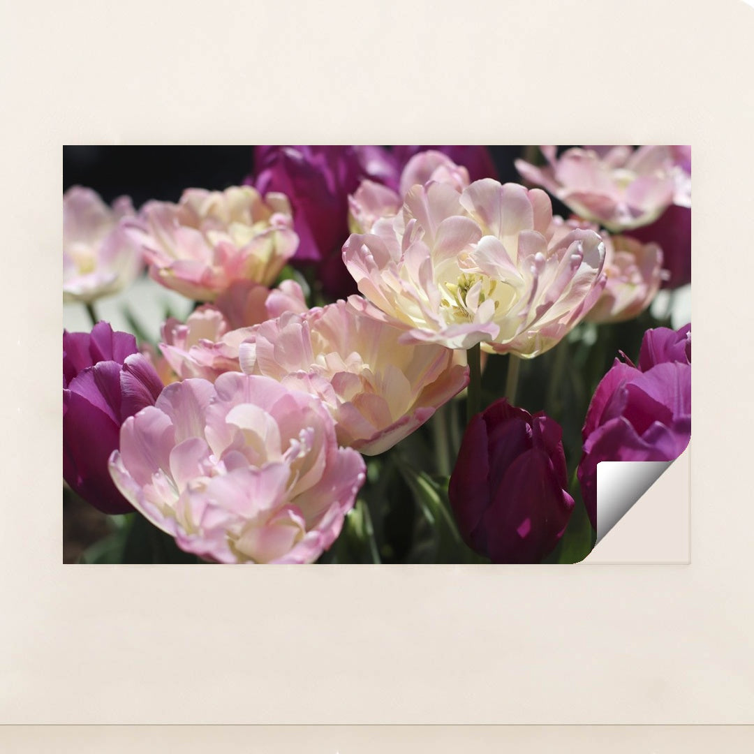 Vibrant Spring Tulips in Bloom by Amelia Cui - Peeliez