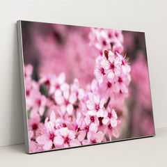 Vibrant Pink Cherry Blossoms by Brett Sayles - Silver Frame Stretchiez