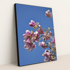 Springtime Magnolia Blooms by Sergio Zhukov - Black Frame Stretchiez