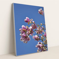 Springtime Magnolia Blooms by Sergio Zhukov - Silver Frame Stretchiez