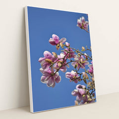 Springtime Magnolia Blooms by Sergio Zhukov - White Frame Stretchiez