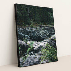 Majestic Rocky Terrain in Tofino by Ali Kazal - Black Frame Stretchiez
