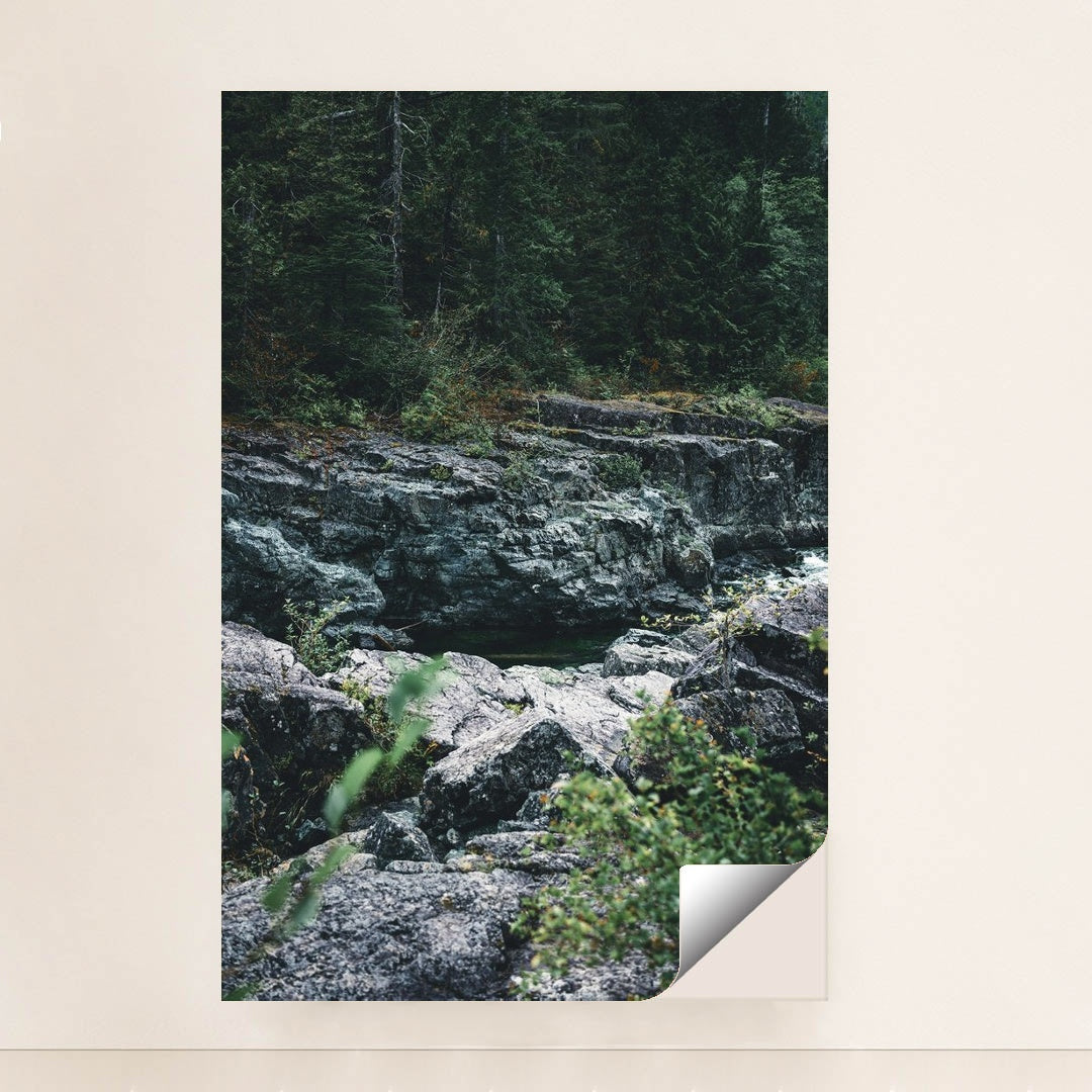 Majestic Rocky Terrain in Tofino by Ali Kazal - Peeliez
