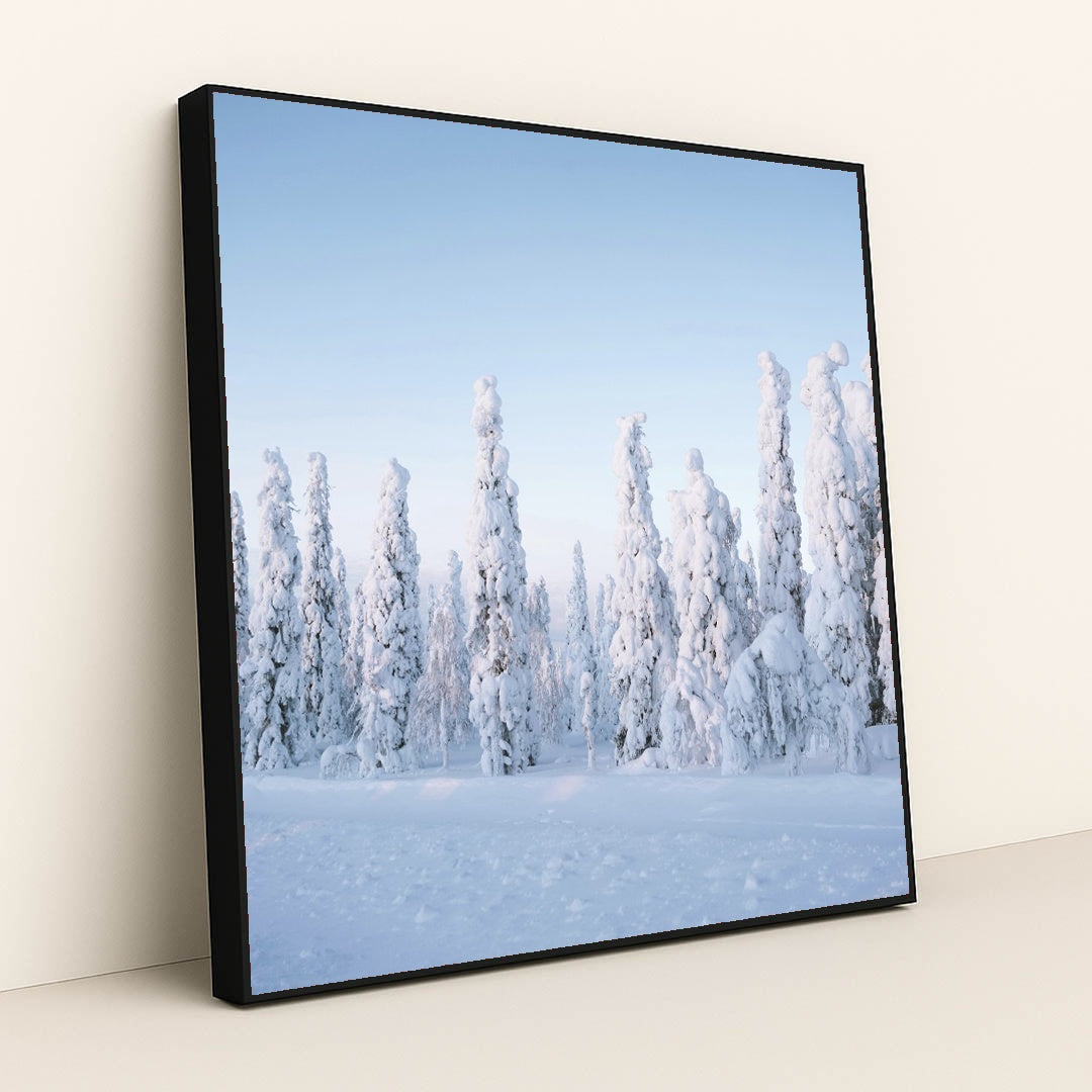 Tranquil Winter Forest in Finland by Valdemaras D. - Black Frame Stretchiez