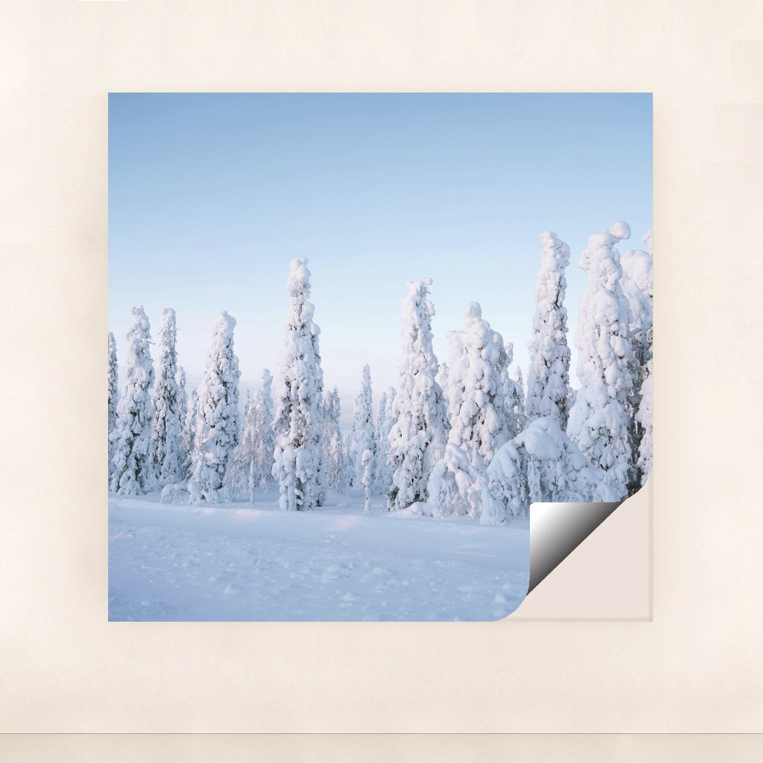 Tranquil Winter Forest in Finland by Valdemaras D. - Peeliez