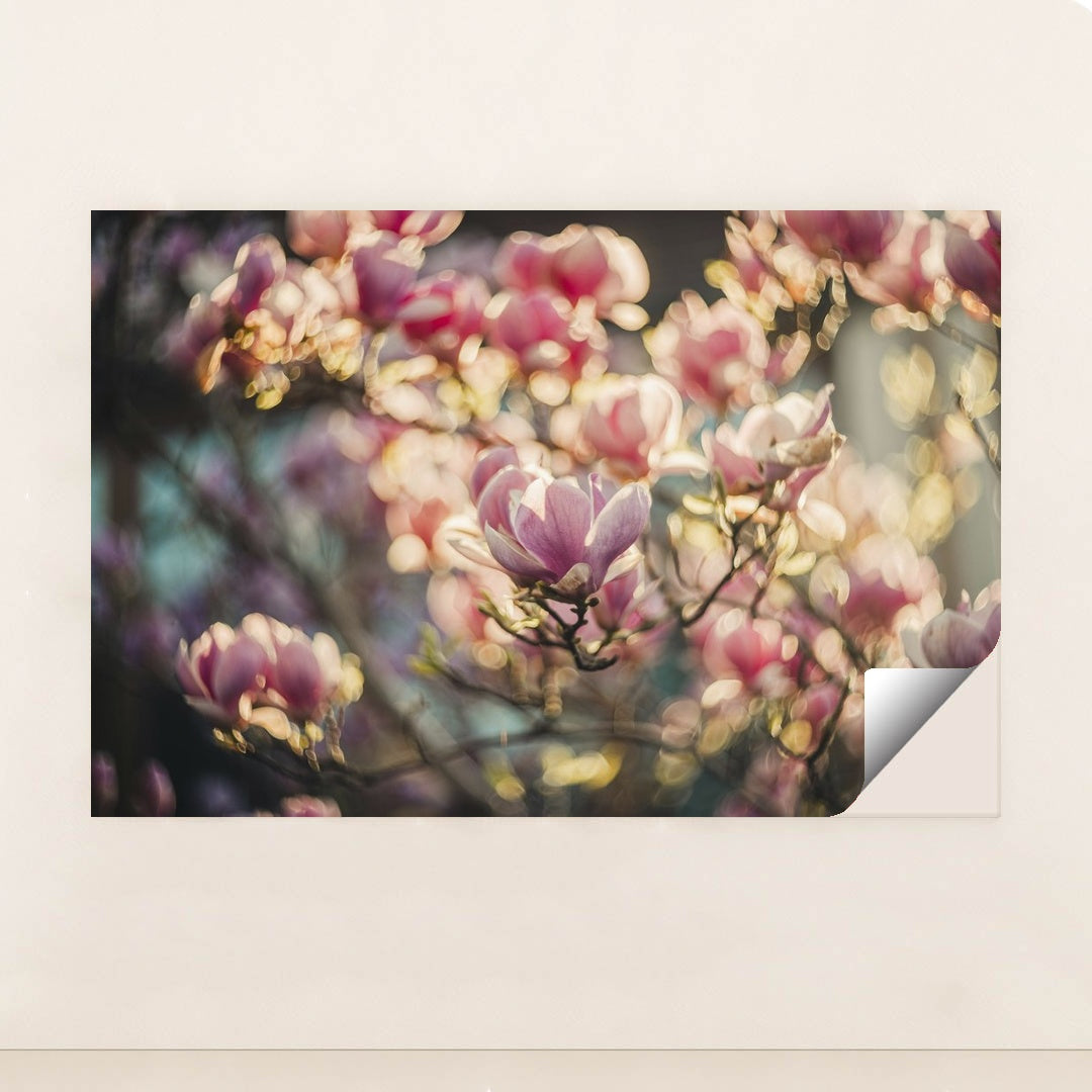 Vibrant Pink Magnolia Blossoms by Helena Jankovif - Peeliez