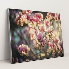 Vibrant Pink Magnolia Blossoms by Helena Jankovif - Silver Frame Stretchiez