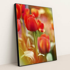 Vibrant Red Tulips in Spring by Kat Smith - Black Frame Stretchiez
