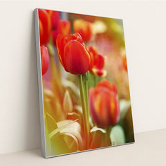 Vibrant Red Tulips in Spring by Kat Smith - Silver Frame Stretchiez