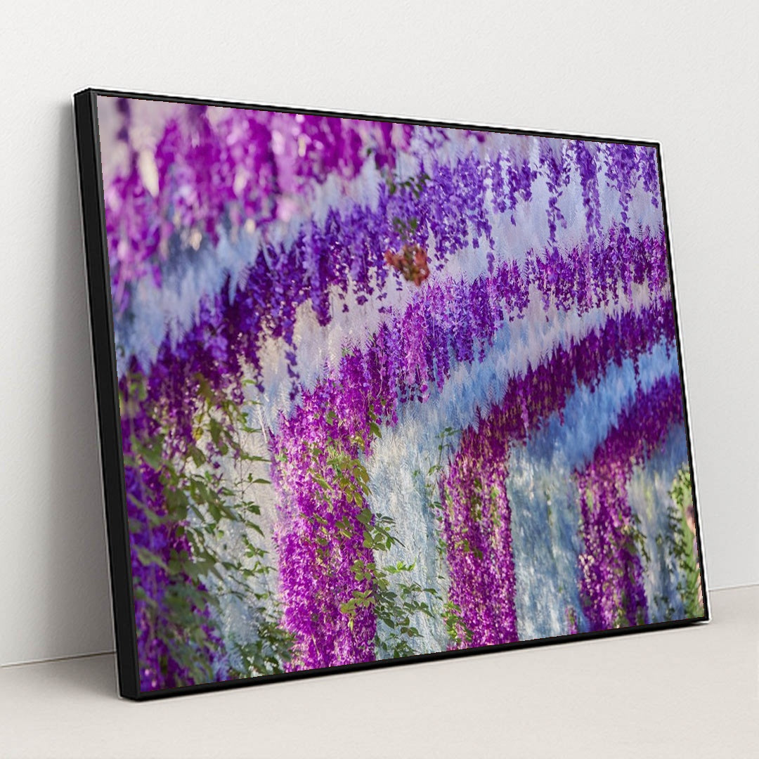 Cascading Wisteria in Bloom by Suki Lee - Black Frame Stretchiez