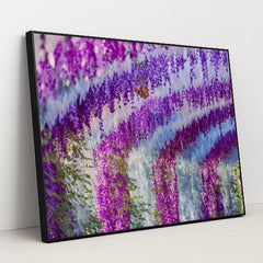 Cascading Wisteria in Bloom by Suki Lee - Black Frame Stretchiez