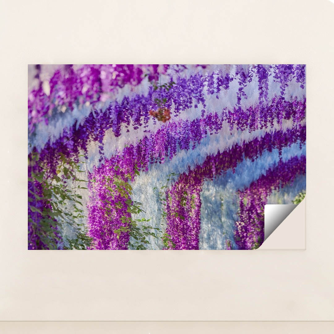 Cascading Wisteria in Bloom by Suki Lee - Peeliez