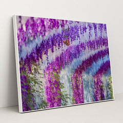 Cascading Wisteria in Bloom by Suki Lee - White Frame Stretchiez